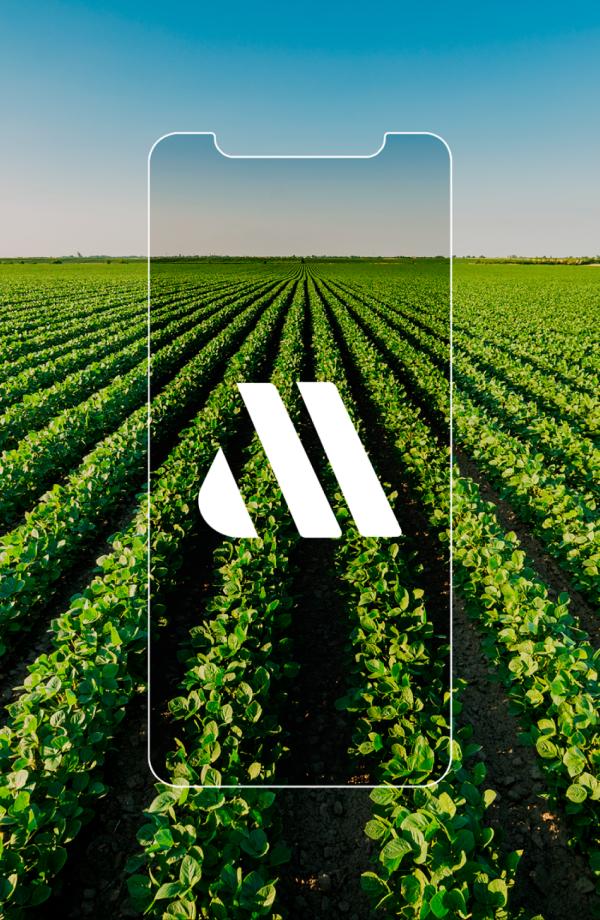 Com o Classe AA você só tem a ganhar!